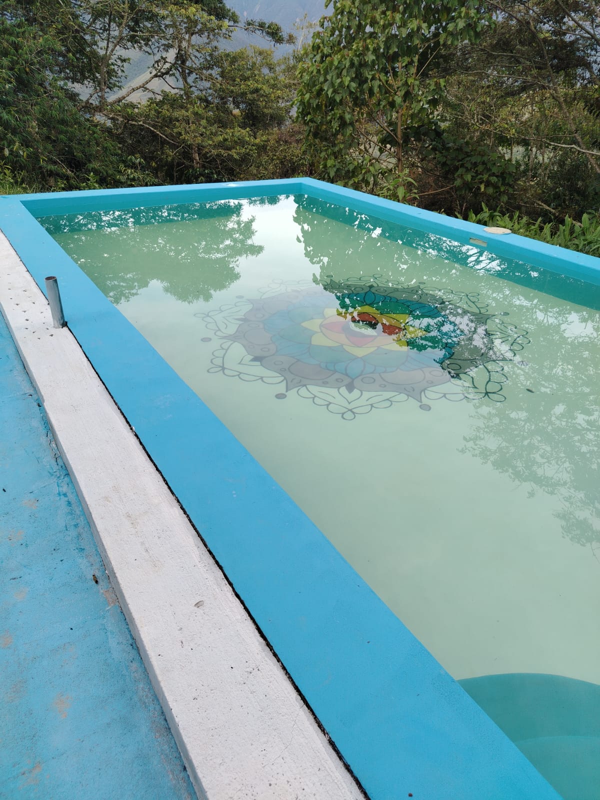 Mariposa Azul - Cabaña Glorieta